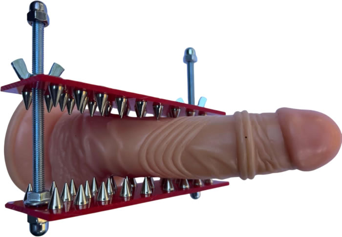 The Spikey Trainer
